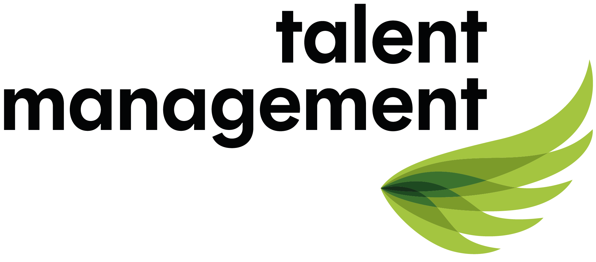 logo-talentmangement